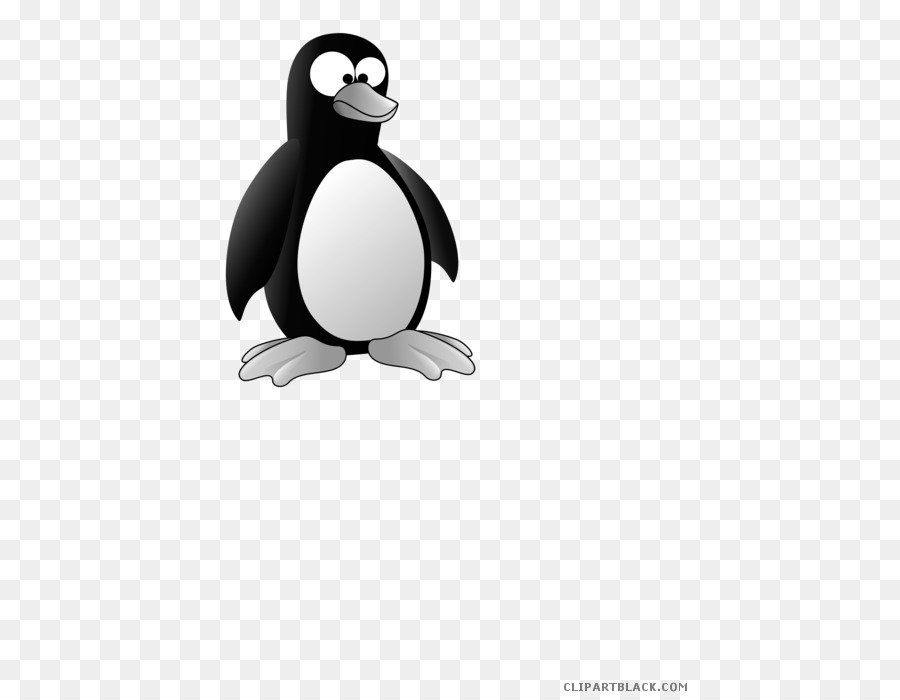 Penguin，Burung PNG