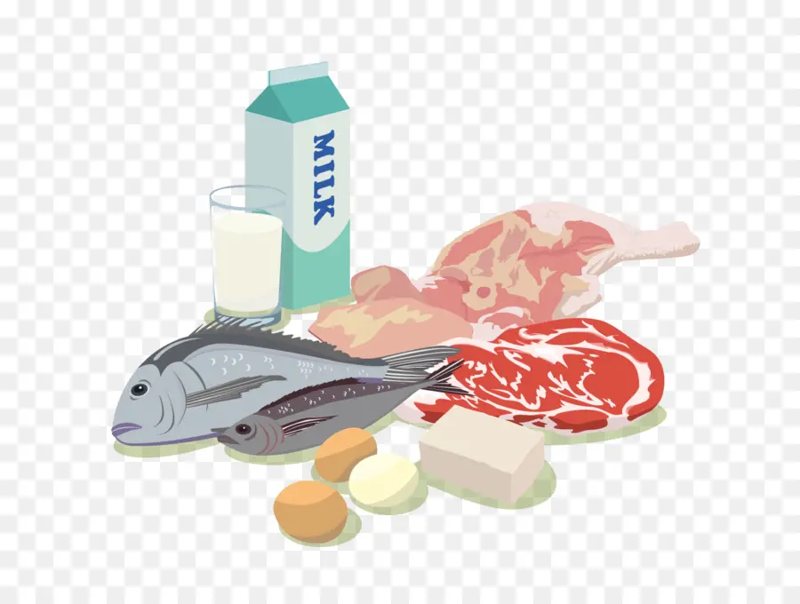 Makanan，Protein PNG