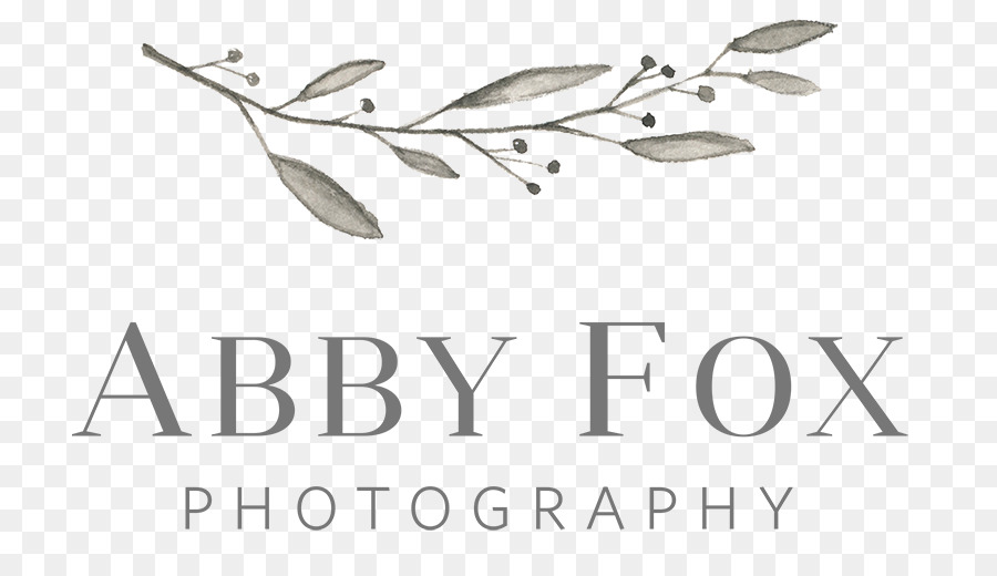 Abby Fox Fotografi，Fotografer PNG