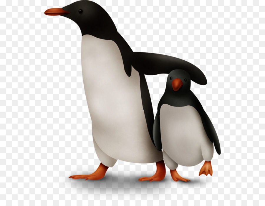 Penguin，Burung PNG