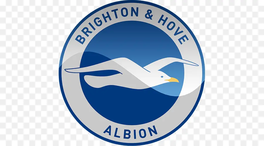 Logo Brighton Hove Albion，Camar PNG