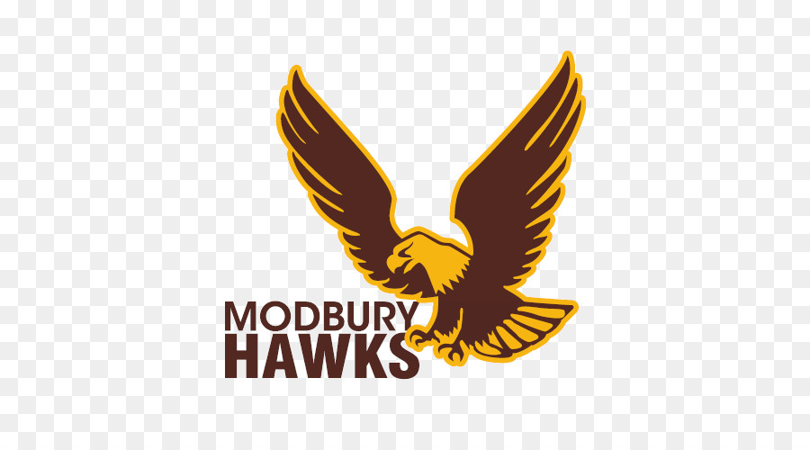 Logo Modbury Hawks，Elang PNG