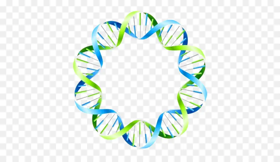 Heliks Dna，Dna PNG