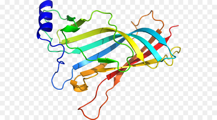 Struktur Protein，Molekul PNG