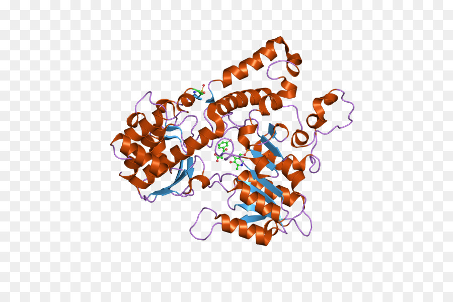 Kynureninase, Manusia, Biokimia gambar png