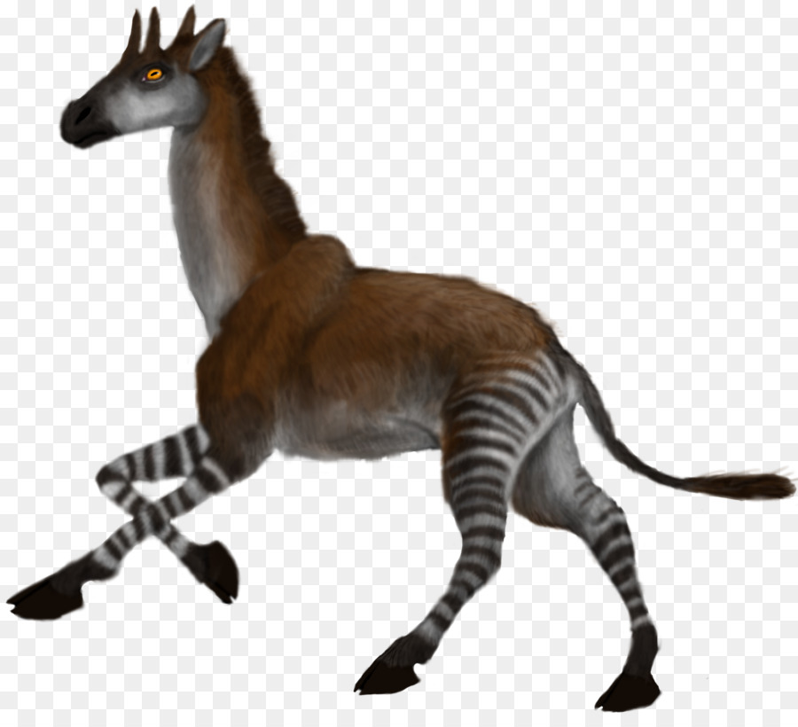 Okapi，Palaeotragus PNG