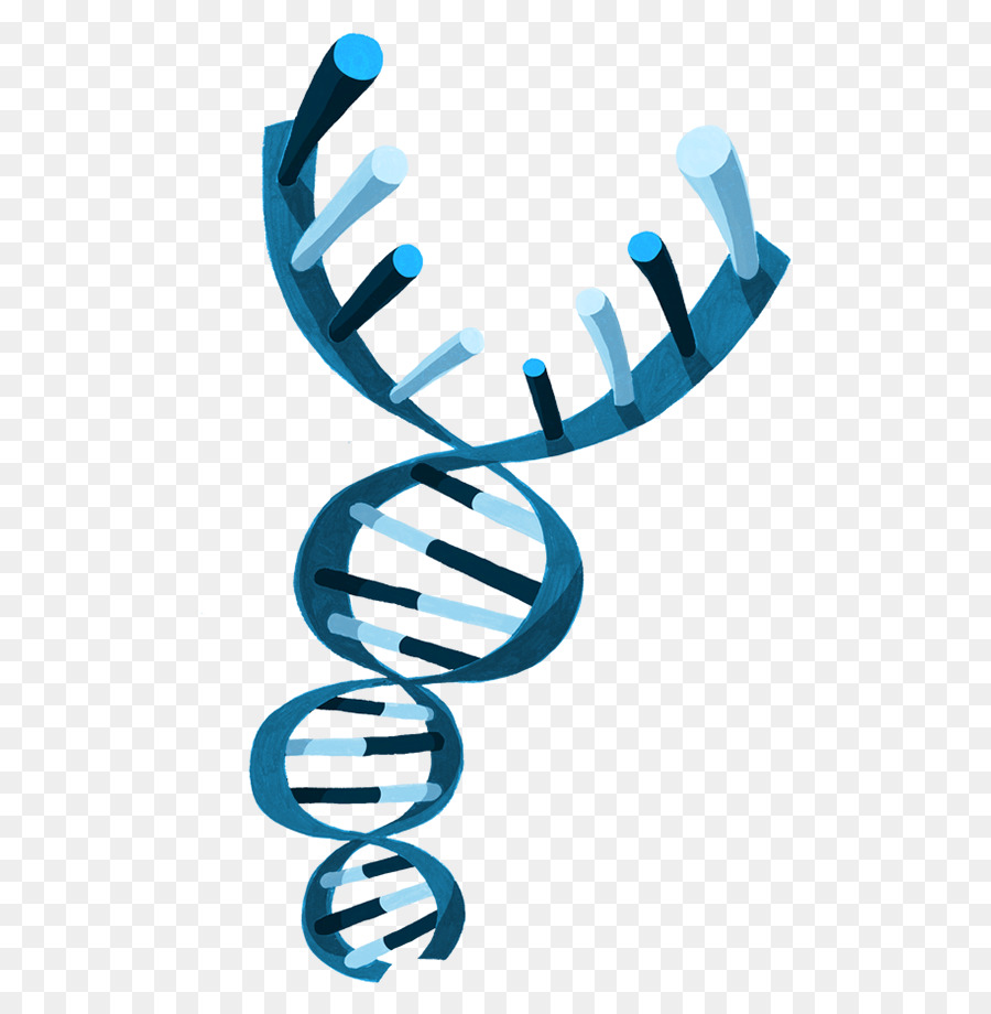 Heliks Dna，Genetika PNG