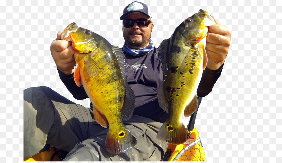 Pushin Air Kayak Fishing Charters，Kayak Memancing PNG