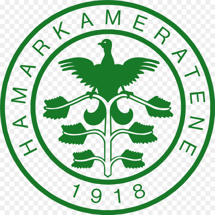 Hamarkameratene，Logo PNG