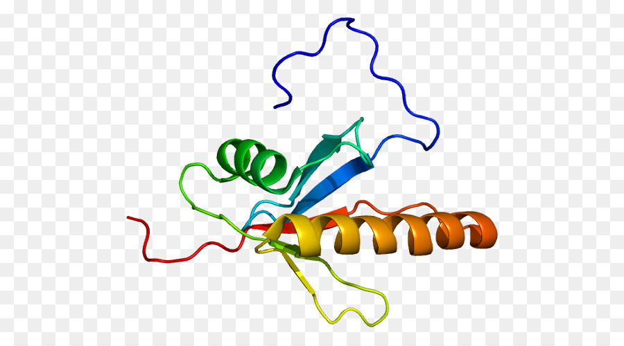 Map2k5，Protein PNG