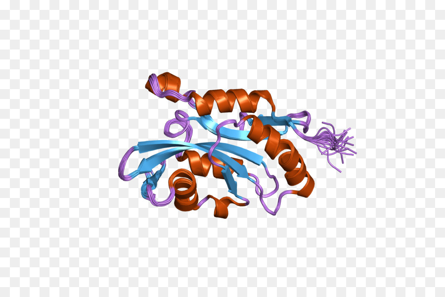 Struktur Protein，Molekul PNG