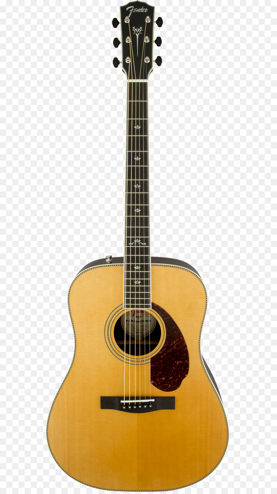 fender paramount dreadnought