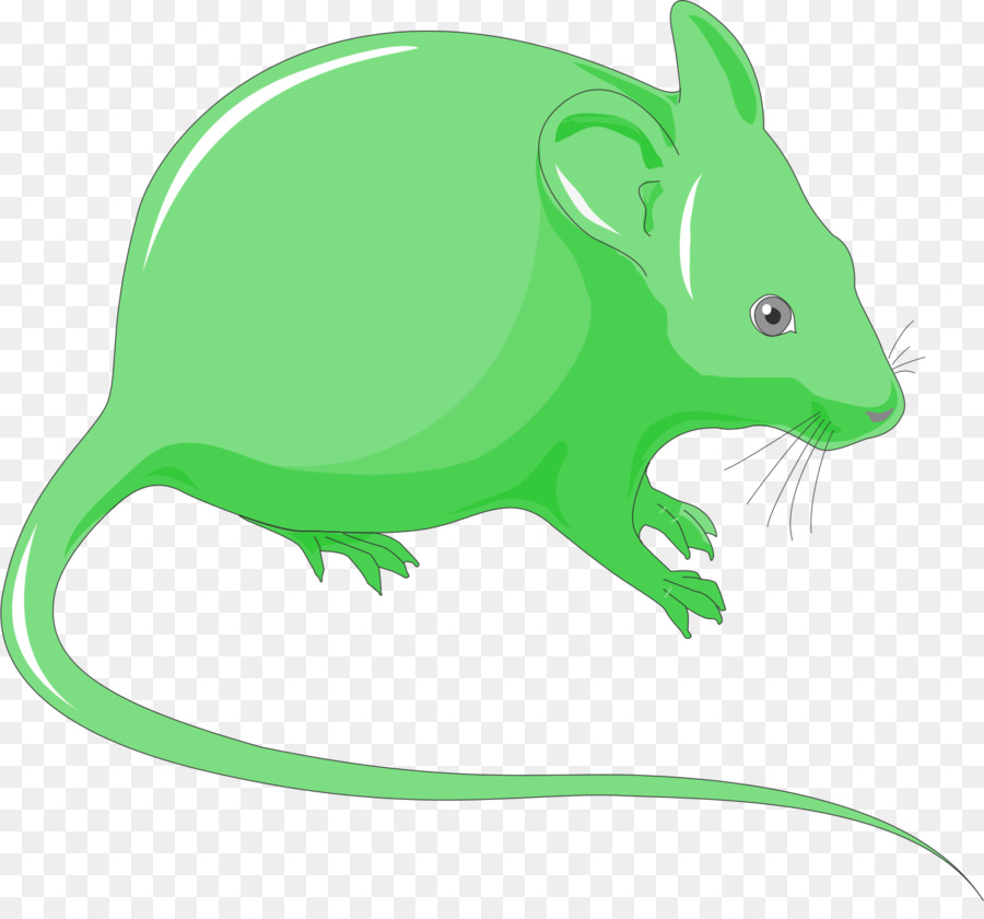 Mouse，Hewan Pengerat PNG