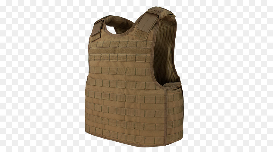 Condor Bek Plate Carrier，Prajurit Plate Carrier System PNG