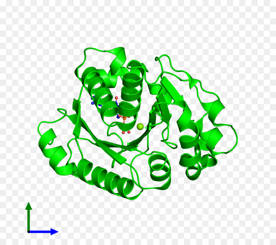 T3 Technion Transfer Teknologi，Teknologi PNG