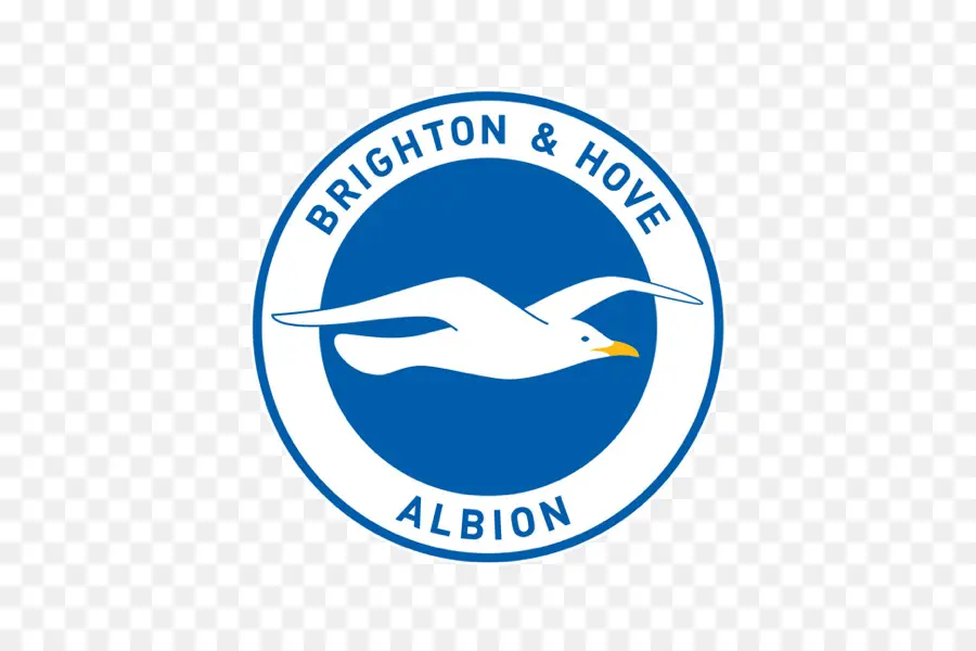 Brighton Hove Albion，Camar PNG