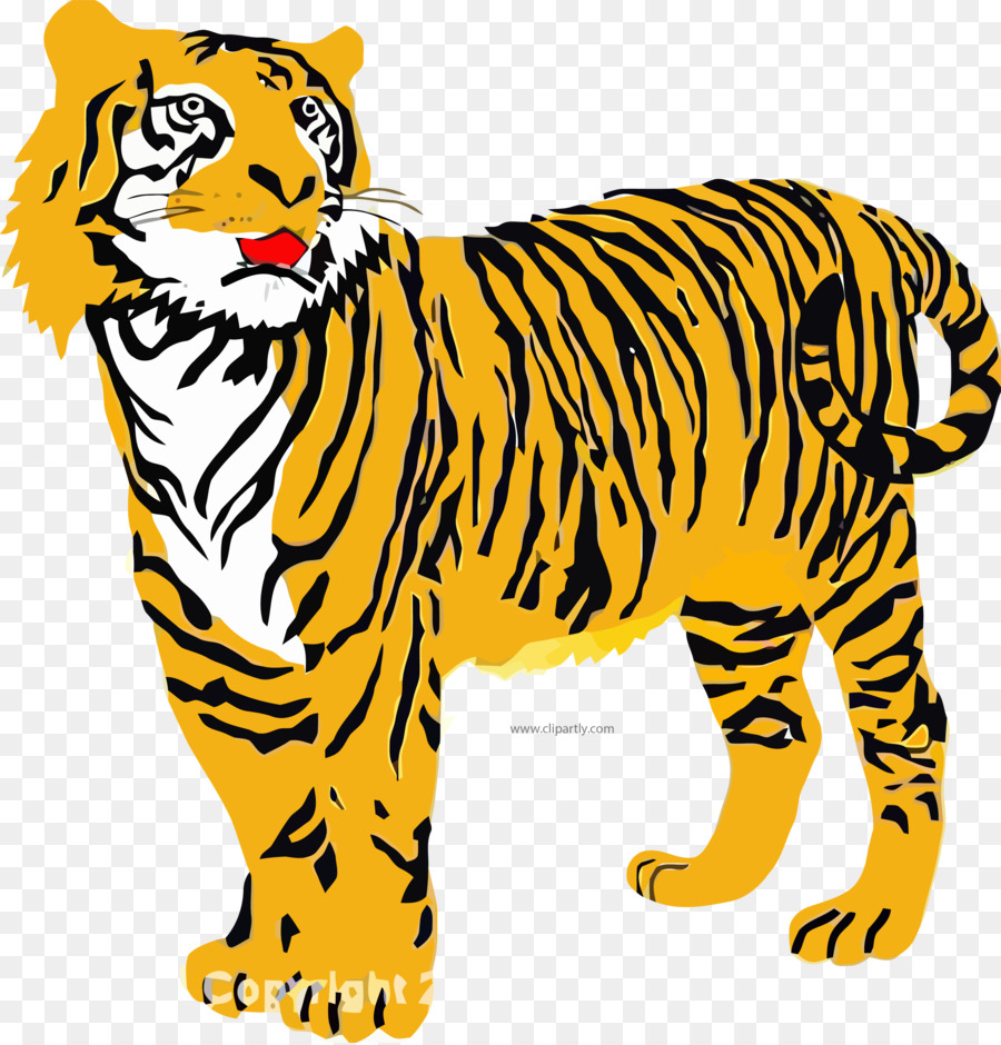 Harimau，Garis Garis PNG