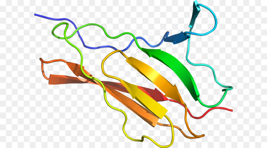 Struktur Protein，Biologi PNG