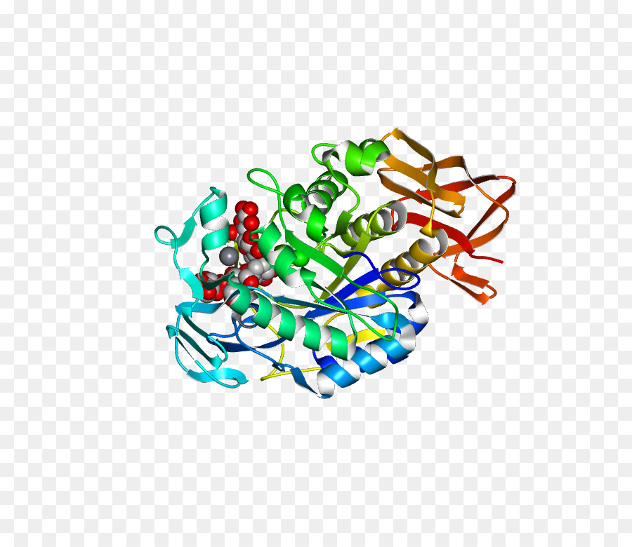 Struktur Protein，Molekul PNG