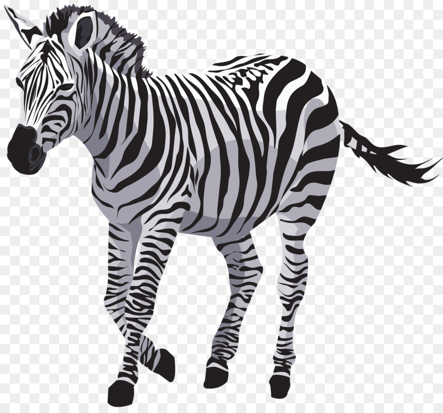 29 Gambar Kartun Kuda Zebra Gambar Kartun Ku