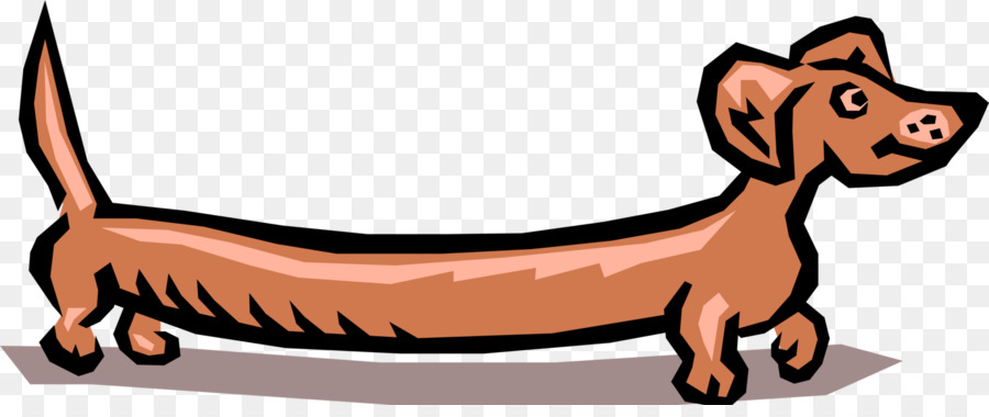 Dachshund，Anjing PNG