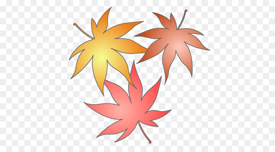 Gambar，Daun Maple PNG