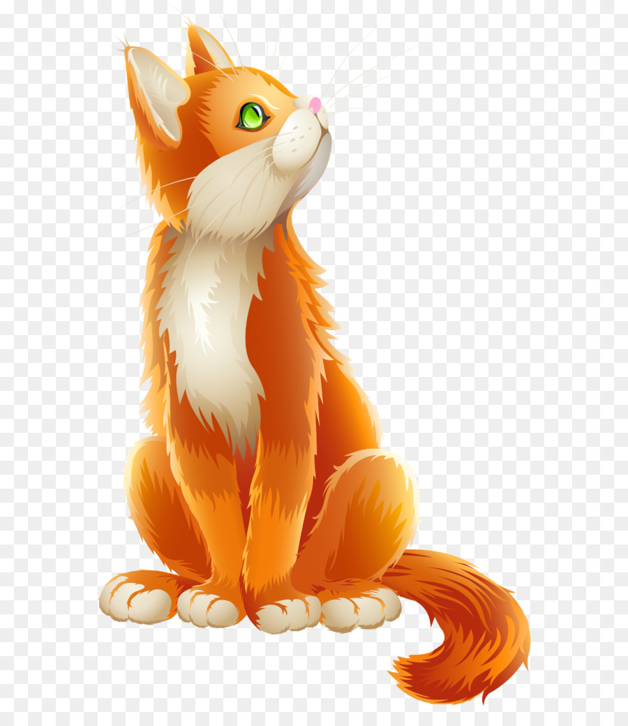 Download 108 Background Kucing  Orange  HD Gratis Download 