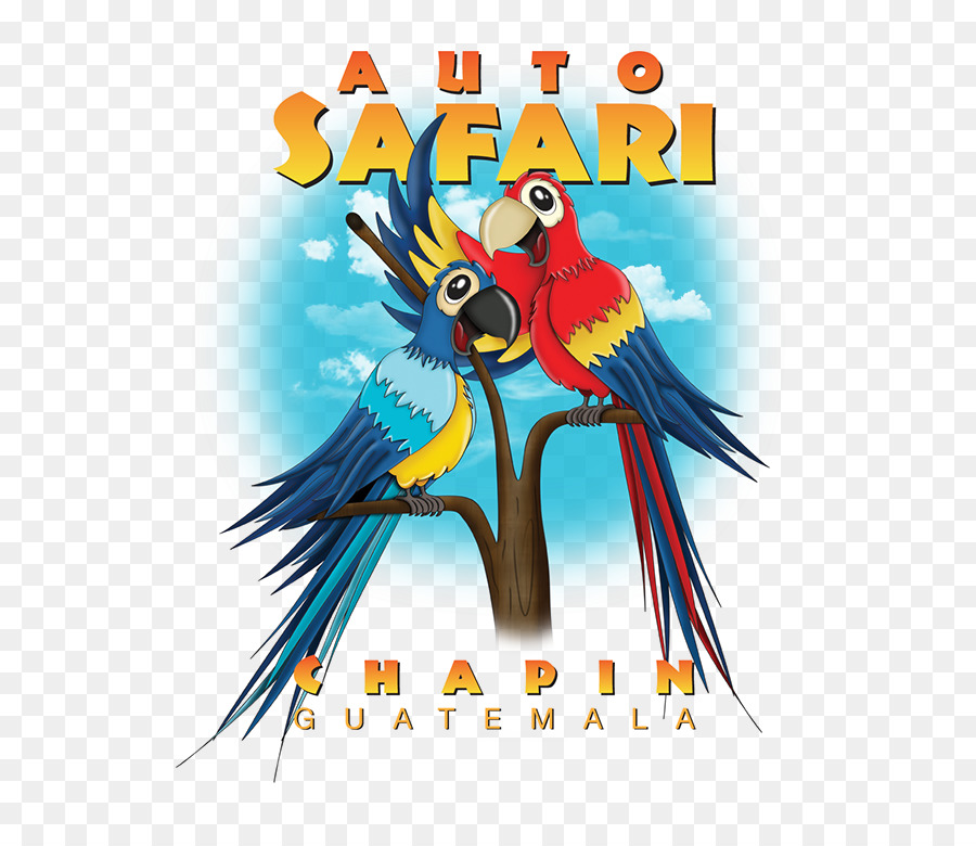 Macaw，Burung Beo PNG