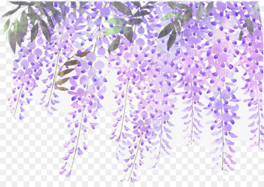 Gambar Bunga Lavender Kartun - Gambar Ngetrend dan VIRAL