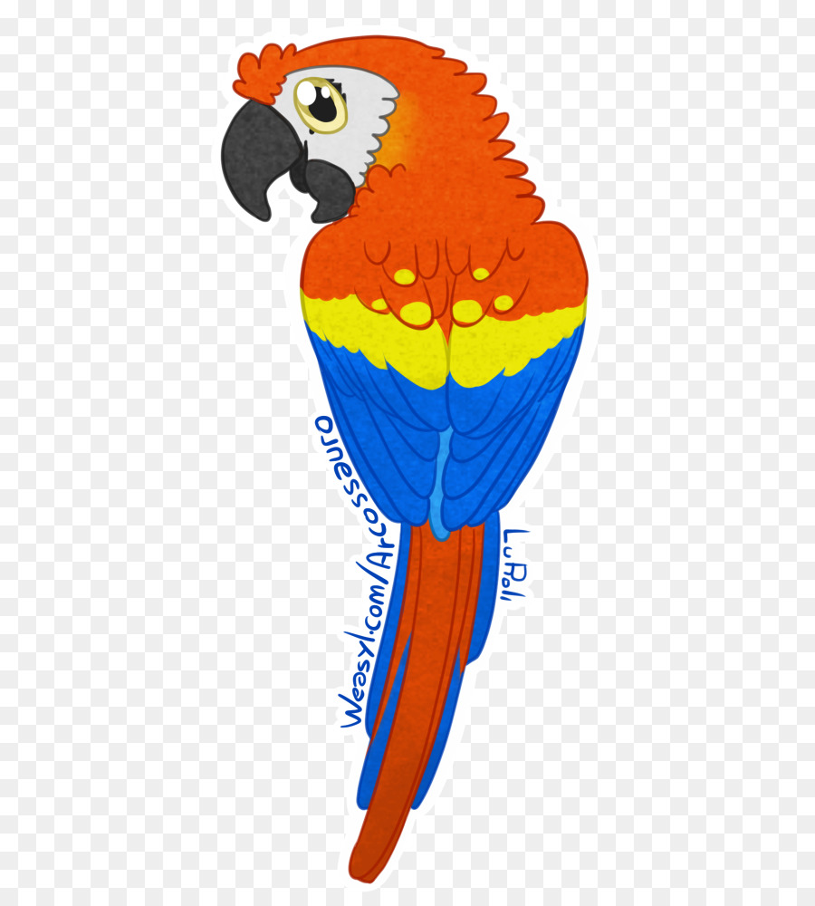 Macaw，Scarlet Macaw PNG