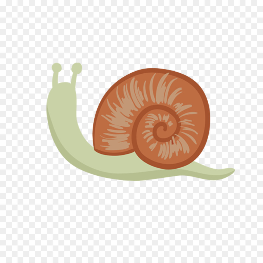 Siput，Kartun PNG