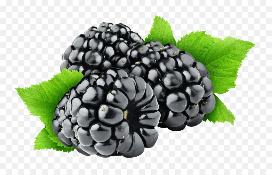 Blackberry，Buah Beri PNG