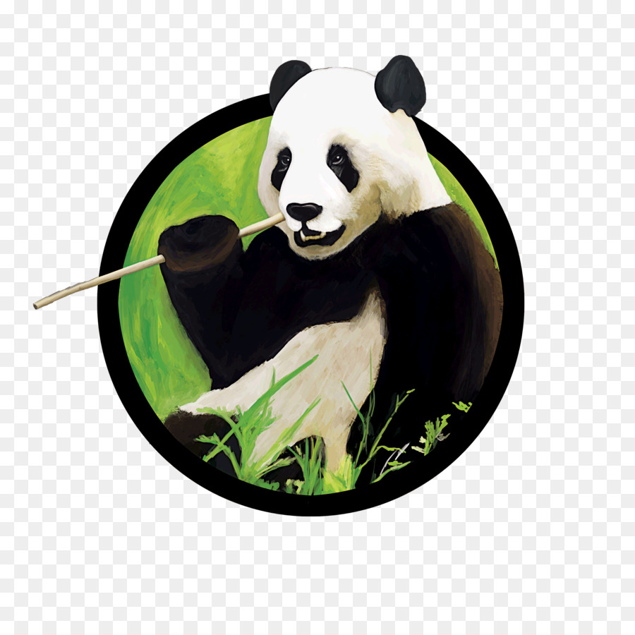 Panda Raksasa，Beruang PNG