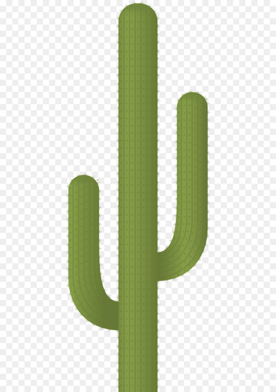 Kaktus，Succulents Dan Kaktus PNG