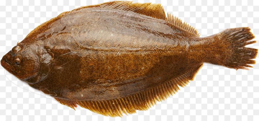 Ikan，Hidangan Laut PNG