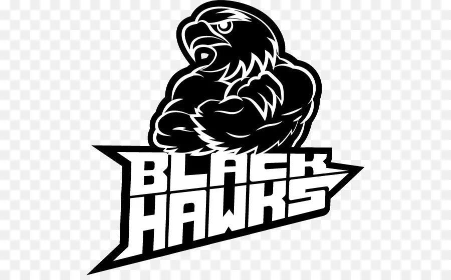 Chicago Blackhawks，Logo PNG