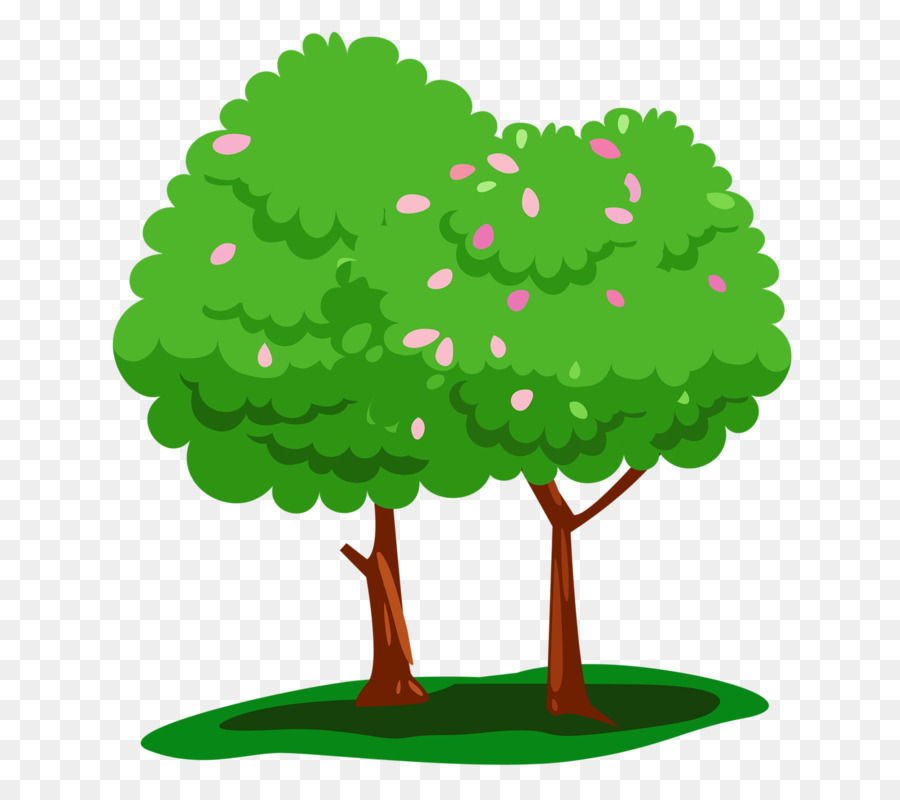  Pohon  Animasi  Fotografi gambar png