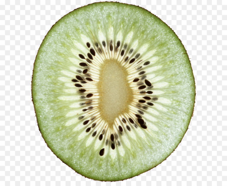 31+ Gambar Kartun Buah Kiwi - Gambar Kartun