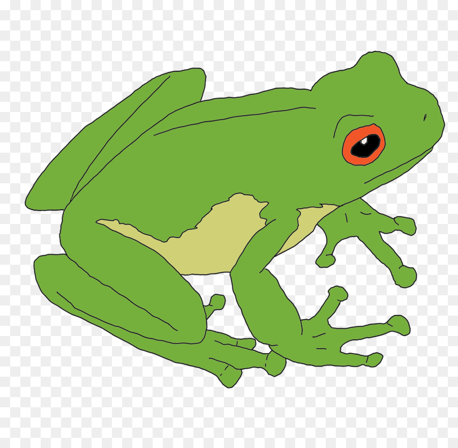 Katak Kartun Hijau，Hewan PNG