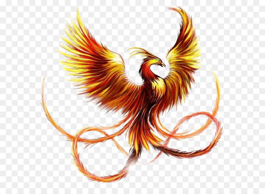 16+ Gambar Tato Burung Phoenix