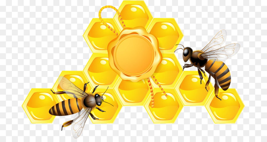  Lebah  Sarang  Lebah  Madu gambar png