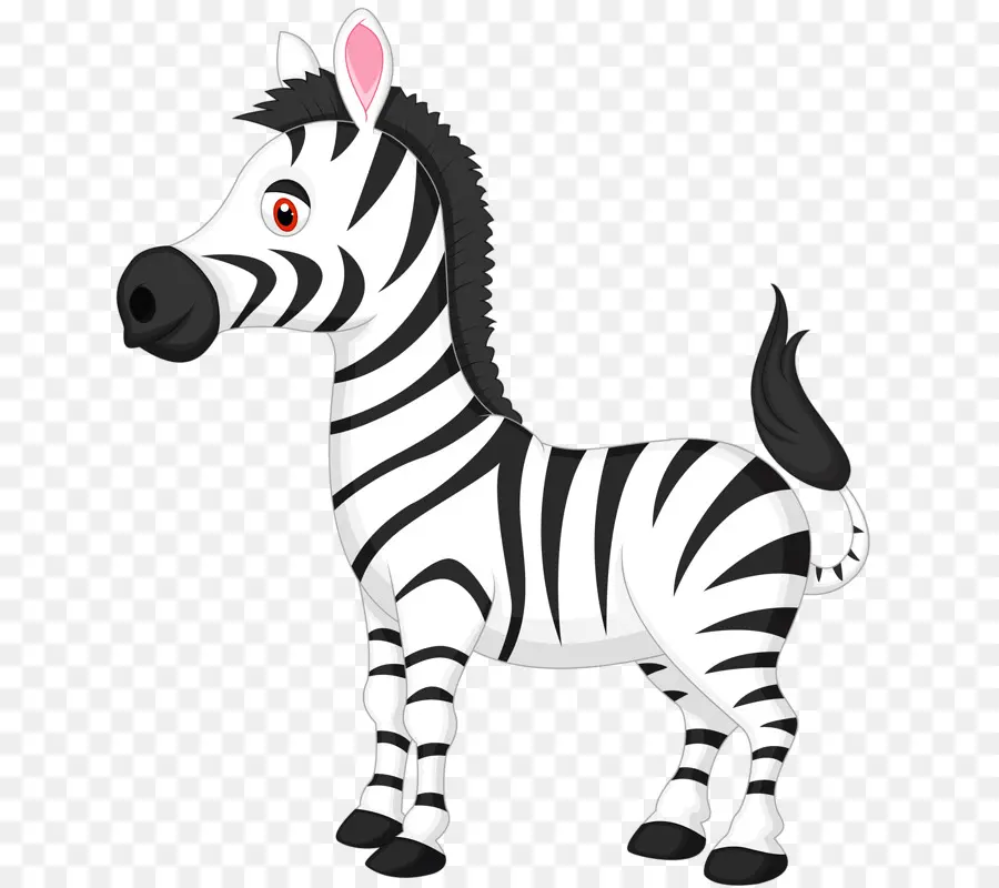 Zebra，Istock PNG
