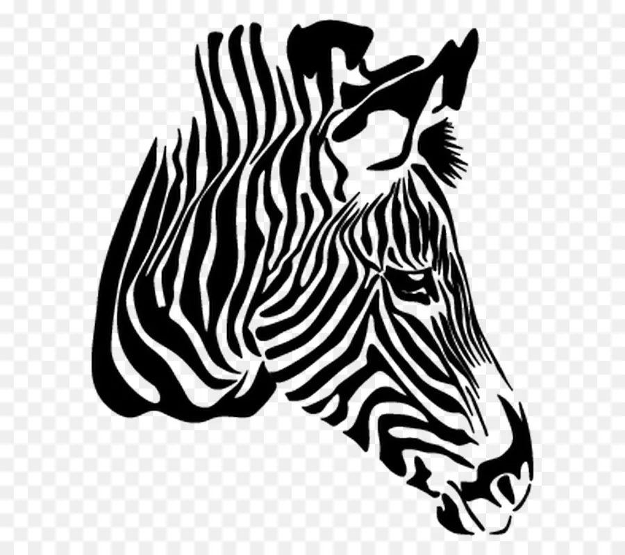 Zebra，Gambar PNG