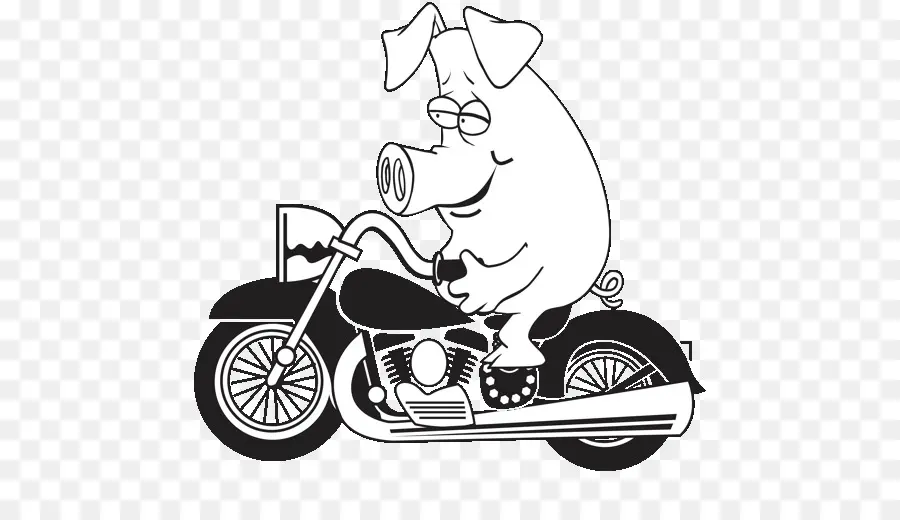 Babi Di Sepeda Motor，Sepeda PNG