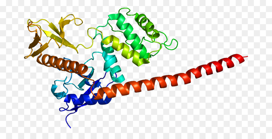 Moesain，Erm Protein Keluarga PNG