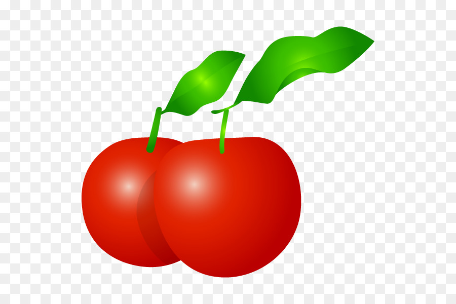 Barbados Cherry Makanan Sayuran gambar  png