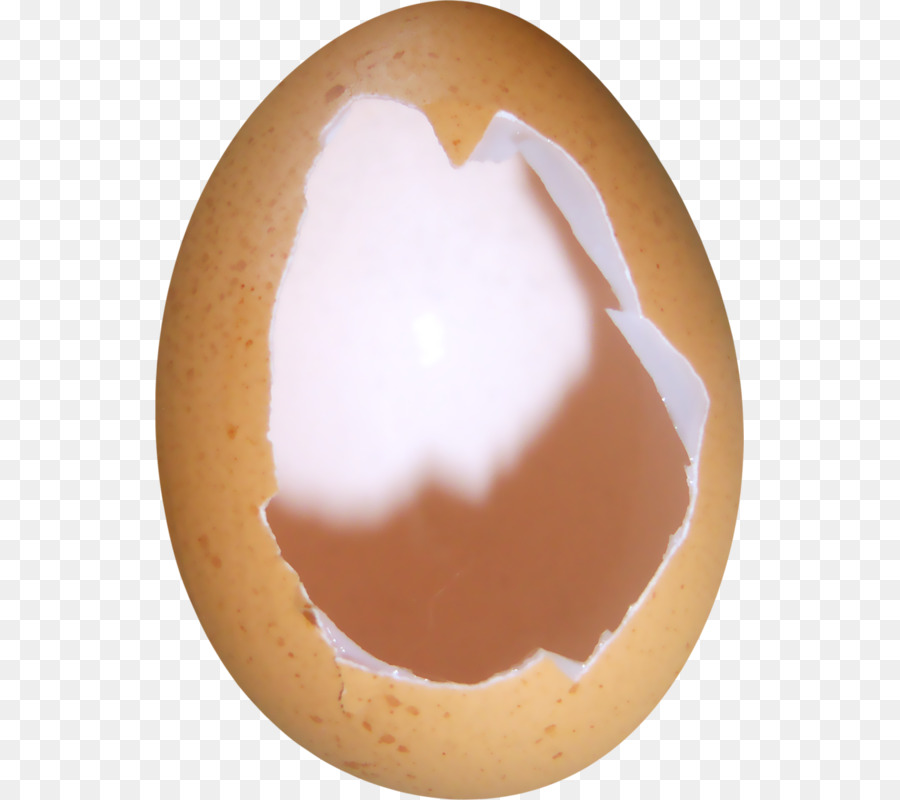  Telur  Kulit Telur  Ayam gambar png 
