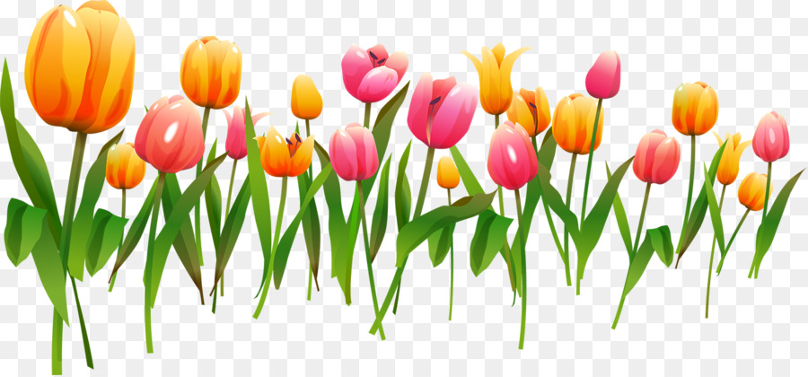 25 Trend Terbaru Gambar Bingkai Bunga Tulip  Fatiha Decor