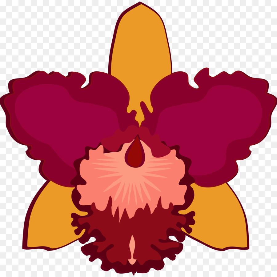 Anggrek Cattleya，Desain Bunga PNG