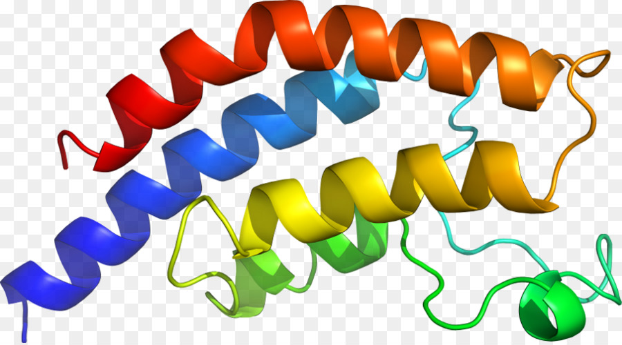 Heliks Protein，Molekul PNG